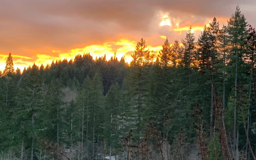 Sunset over a hill in the Pacific Northwest Oregon