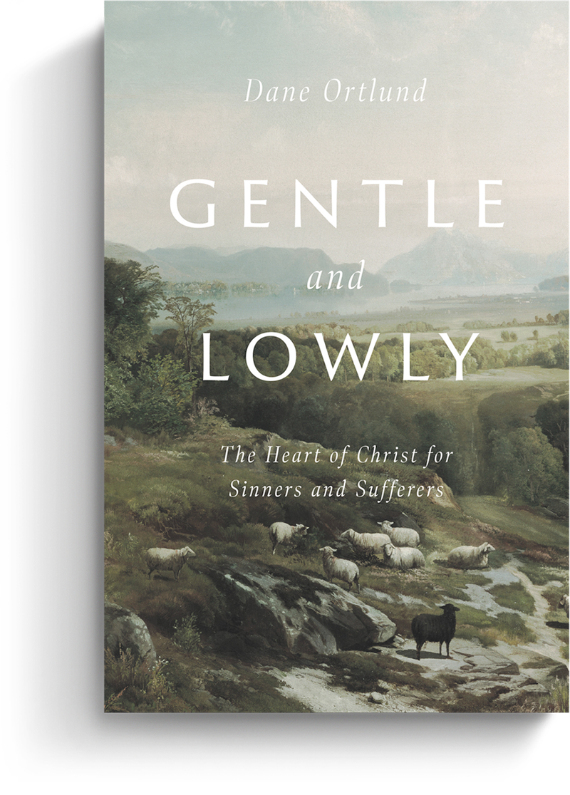 Gentle and Lowly by Dave Ortlund